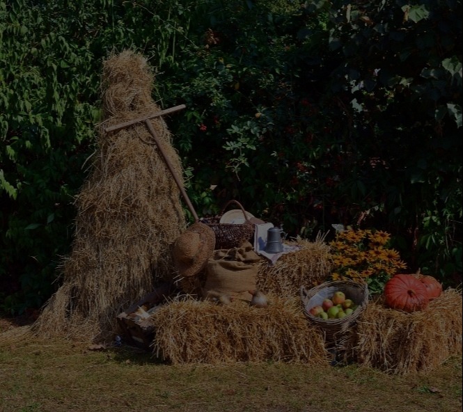 Harvest Festival Service *Sunday 21st September